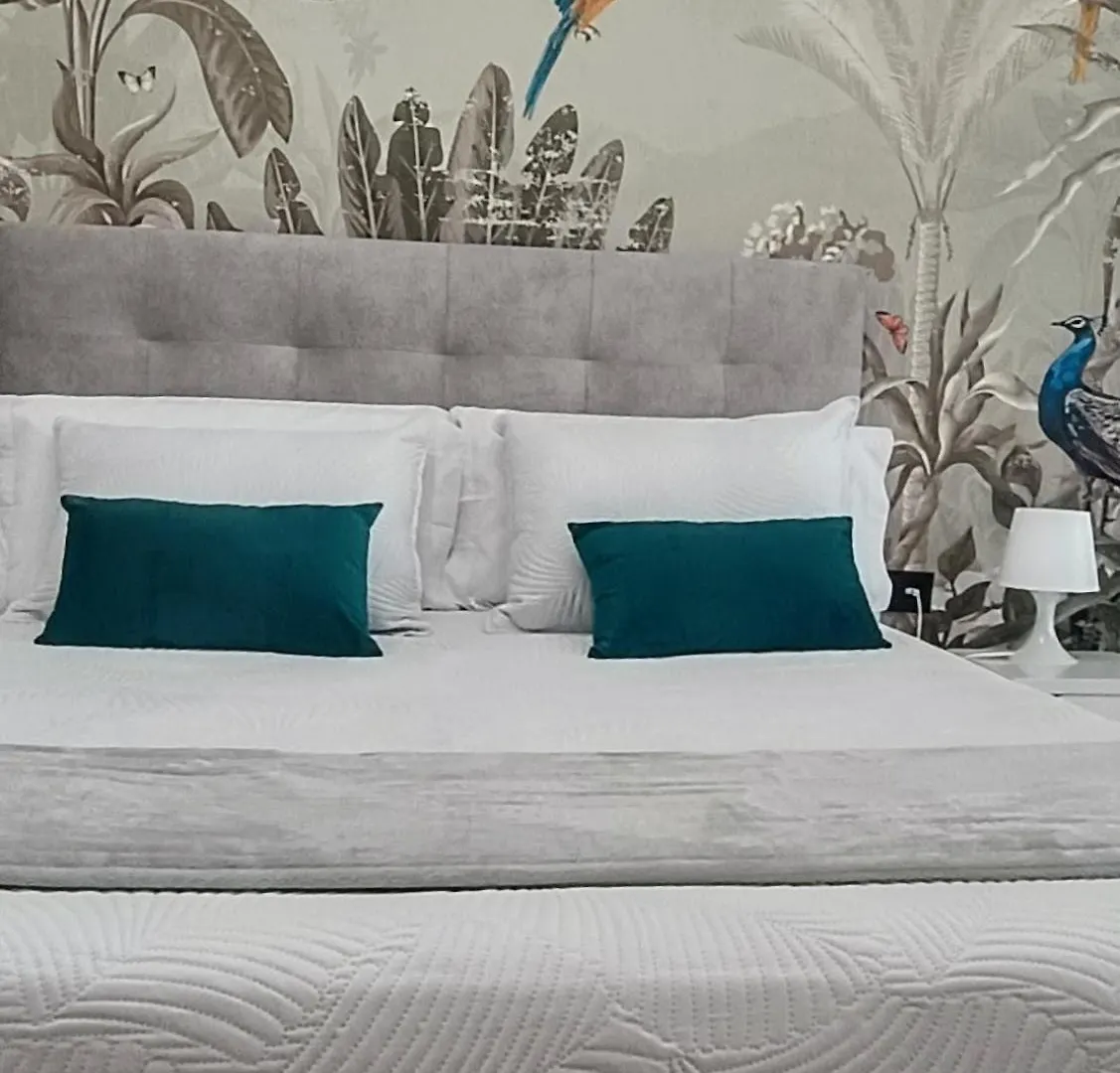 Apartamento Ancha De Gracia Apartment Granada
